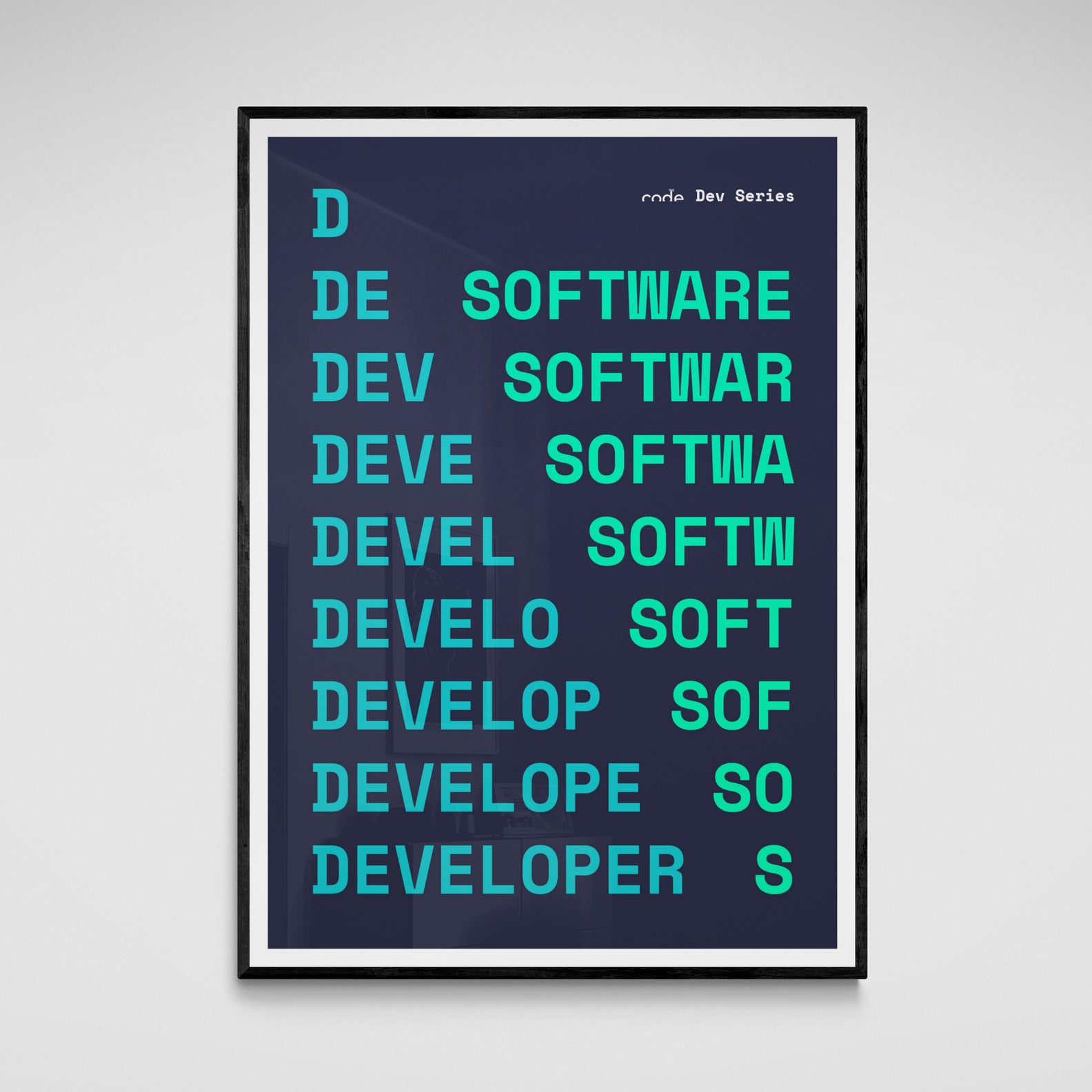 Software Developer Poster