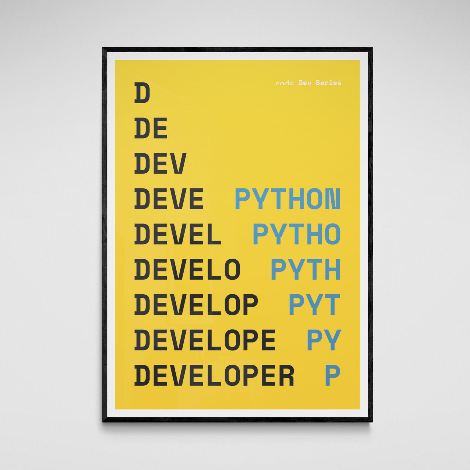 Python Developer Poster